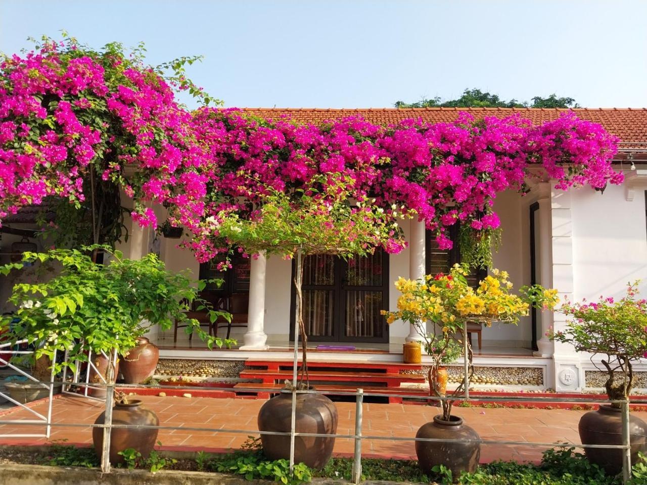 Nha Xanh Homestay Ниньбинь Экстерьер фото